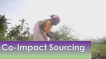 Co-Impact Sourcing by doTERRA Provides the Best Essential Oils and Lifts Entire Communities